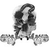 Skull, insects and roses