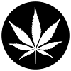 GANJA! Legal!