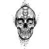 Metal skull