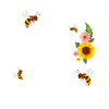 bees