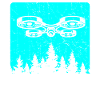 Drone drone drone pilote quadricoptère