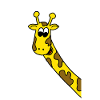 giraffe
