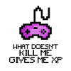 Gamerin Gamer Gaming