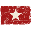 Vietnam Vintage Flag