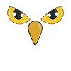 Owl eyes