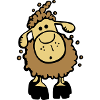 Cute Sheep