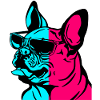 French Bulldog Cool Sunglasses Dog
