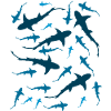 Shark aquarium