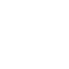 Shark fish