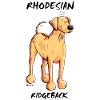 Funny Rhodesian Ridgeback