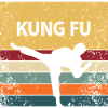 Retro Kung Fu