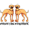 Two Rhodesian Ridgeback