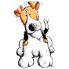 Drôle Fox-terrier