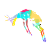 Gazelle polygon