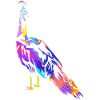 Peacock gift