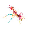 ant