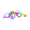 Platypus gift