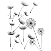 Pusteblume