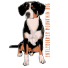 Entlebucher Sennenhund