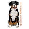 Entlebucher Sennenhund