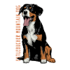 Entlebucher Sennenhund