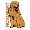 Hovawart