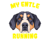 Entlebucher Sennenhund