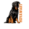 Hovawart