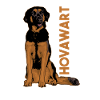 Hovawart