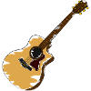 Rustic Acoustic Guitar Illustration