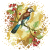 Bird jay