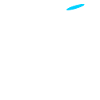 Dog collie training