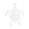 Tortue