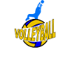 Volleyball, Volleyball, Sports