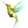 Hummingbird