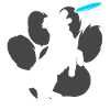 Dog Collie Training Dog School