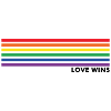 Love wins LGBT equal gift