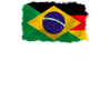 Brazil and Germany flag friendship