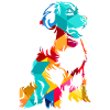 Bernese bovine dog