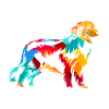Bernese Mountain Dog Gift
