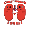 Kidney organ transplantation kidney transplant