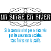 un singe en hiver