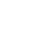 Stupid run