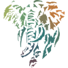 afrikanische Elefantenfarbe