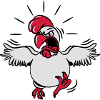 Aggressive funny chicken