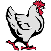 Chicken pet bird