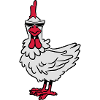 Chicken sunglasses