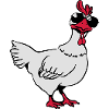 Chicken sunglasses cool