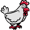 Doux de poulet