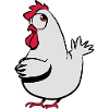 Lay chicken